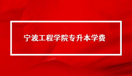 寧波工程學(xué)院專升本學(xué)費(fèi).jpg