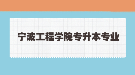 寧波工程學院專升本專業(yè)